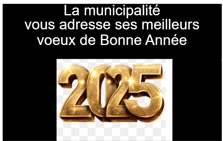 VOEUX 2025