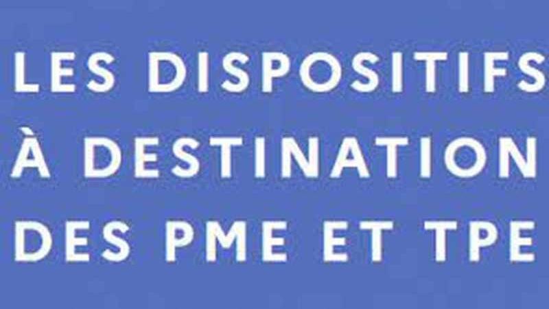 Dispositifs pour TPE et PME Dispositifs pour TPE et PME