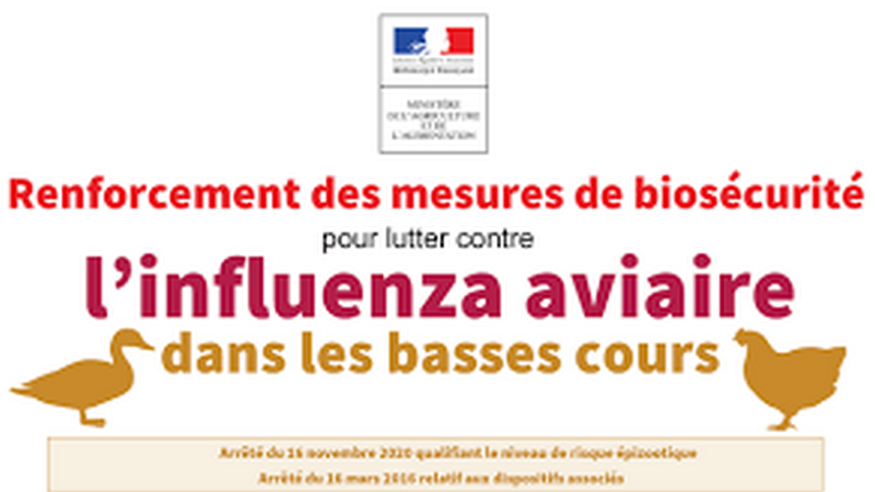 Mesures contre l'épizootie d'Influenza Aviaire Hautement Pathogène (IAHP) Mesures contre l'épizootie d'Influenza Aviaire Hautement Pathogène (IAHP)