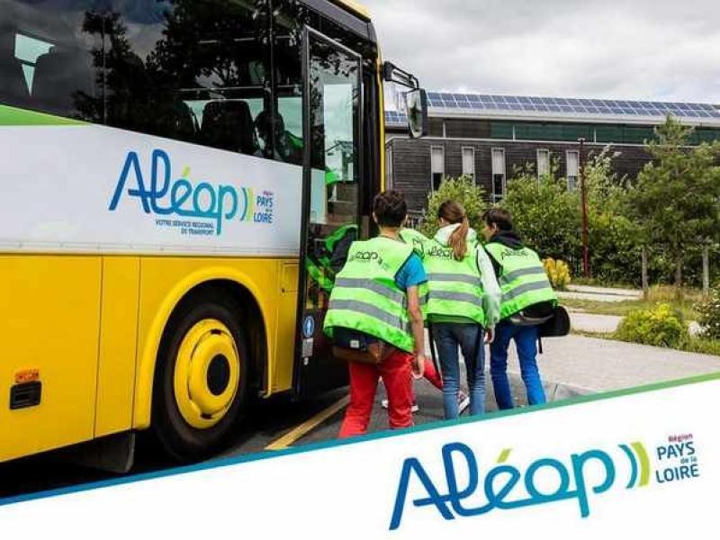 Les transports scolaires