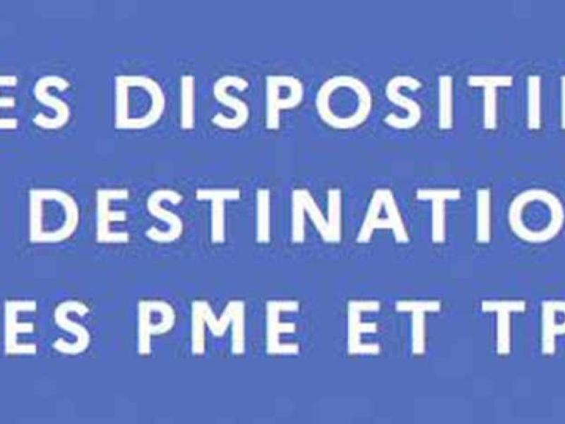 Dispositifs pour TPE et PME