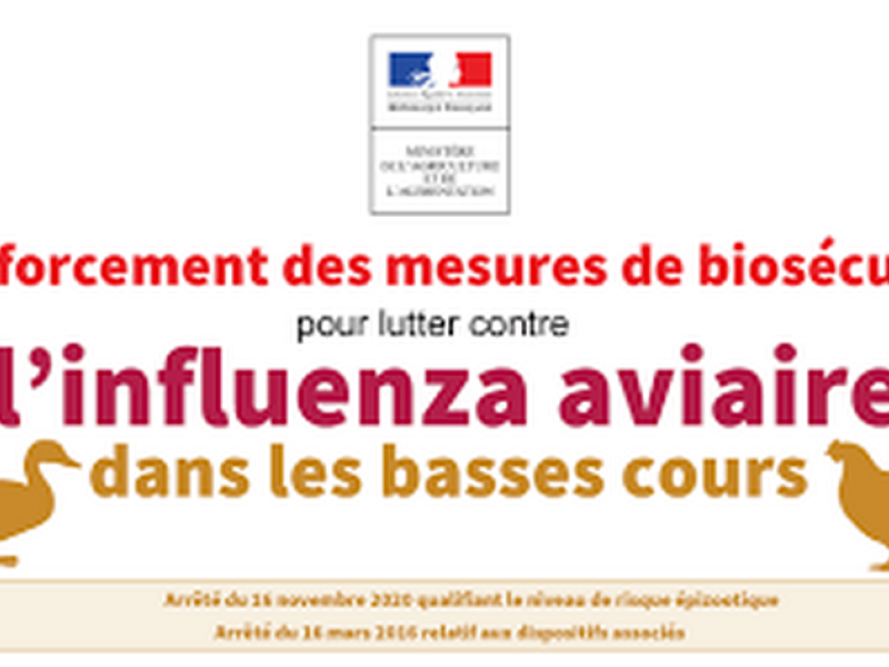 Mesures contre l'épizootie d'Influenza Aviaire Hautement Pathogène (IAHP)