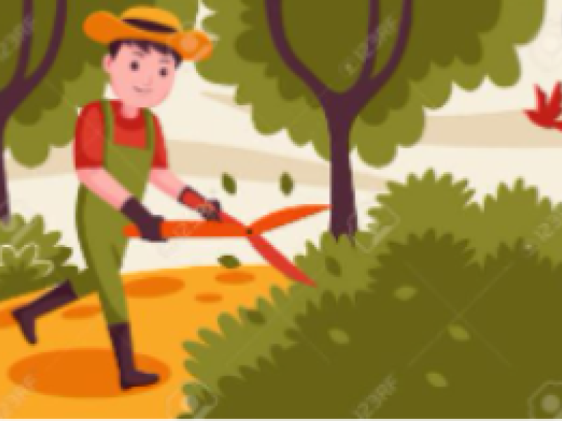 ENTRETIEN DES TERRAINS 