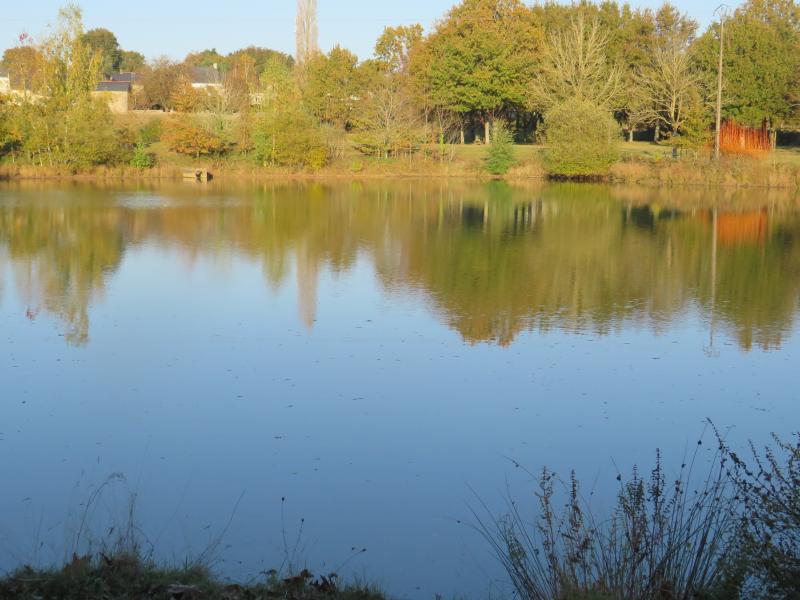 ETANGS DU PARC DES LAVANDIERES DE NOIR 
