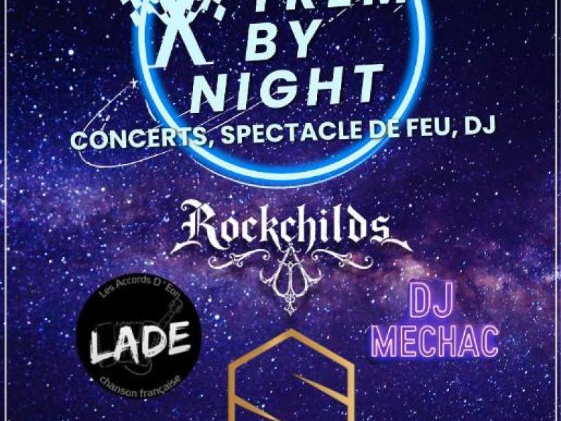 CONCERT spectacle de feu DJ